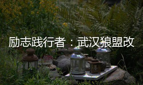 武汉品茶网：品味中国茶道的精髓